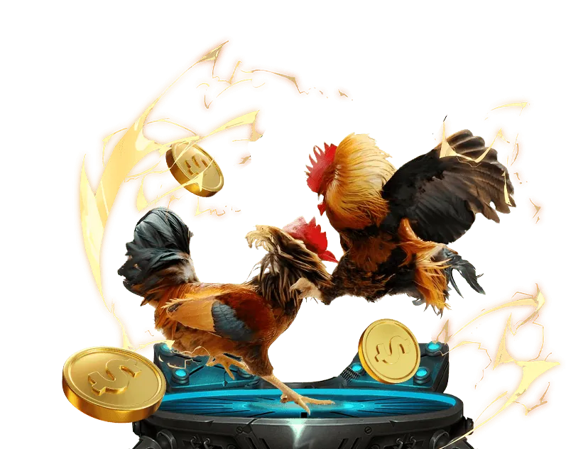 Quá trình thu thập dữ liệu người dùng tại fai 88